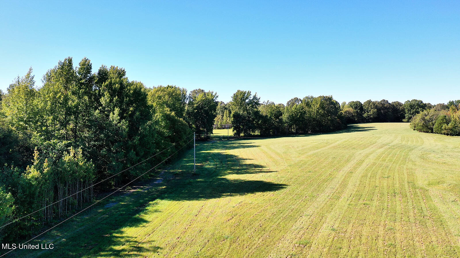 847 Mays Road Coldwater, MS 38618 - Photo 4 of 5 9824458631.jpg_exif1