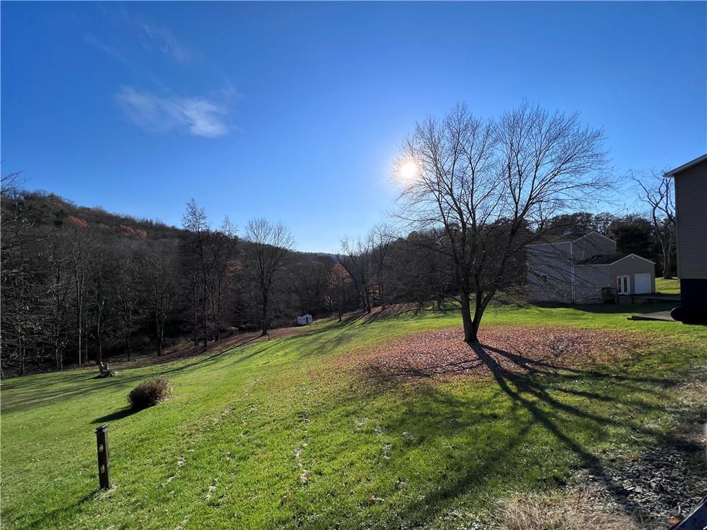 822 Old State Road Apollo, PA 15613 - Photo 27 of 28 a view of a backyard