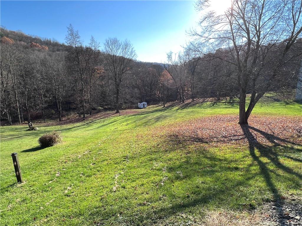 822 Old State Road Apollo, PA 15613 - Photo 3 of 28 a view of backyard with tree