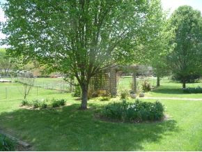 501 Colonial Heights Road Kingsport, TN 37663 - Photo 4 of 24 Photo 4
