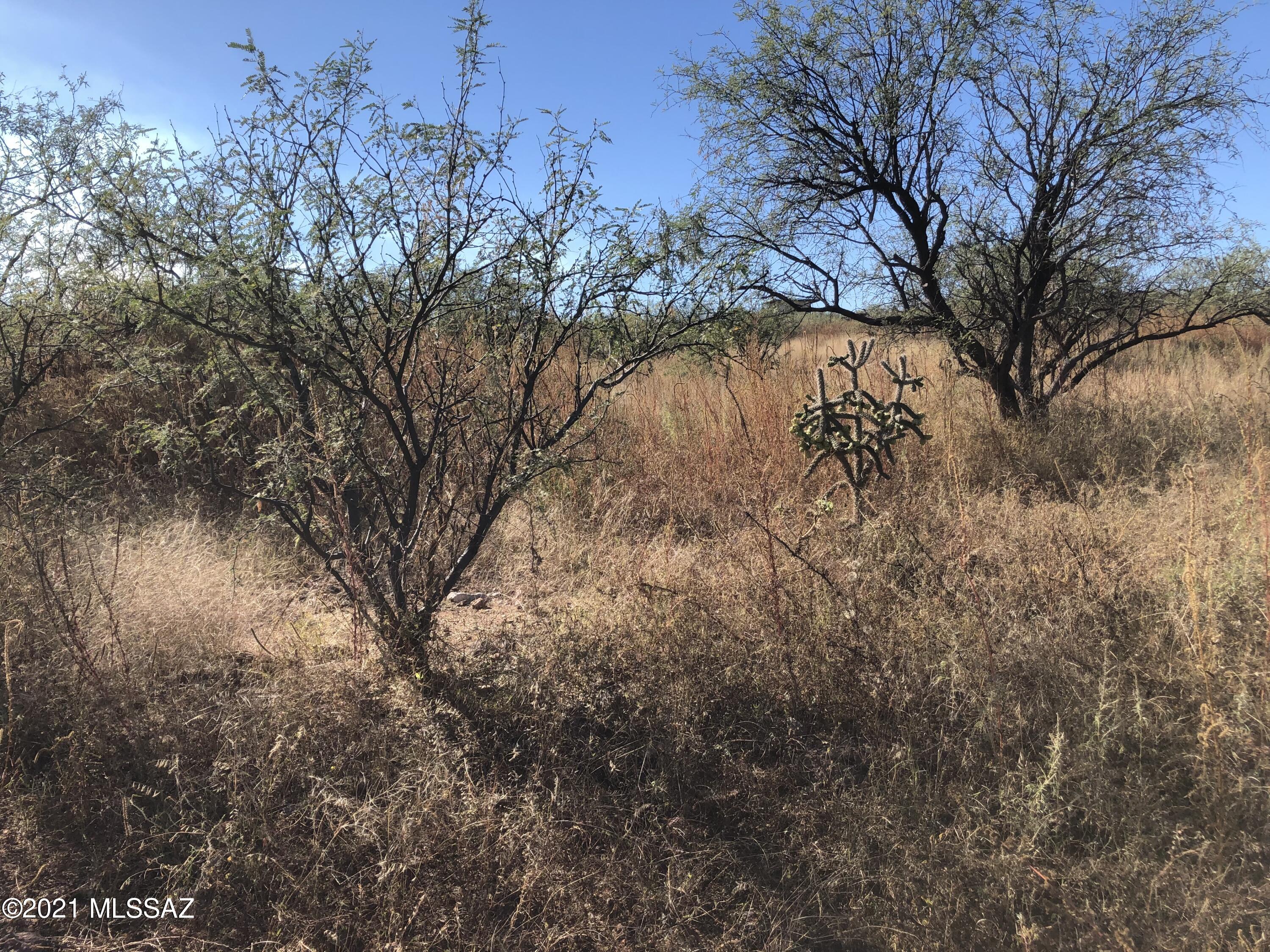 600 Camino Kansas, Unit 28 Rio Rico, AZ 85648 - Photo 2 of 3
