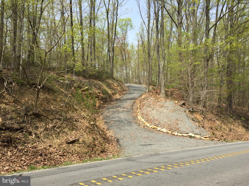 0 Beverleys Mill Road North Broad Run, VA 20137 - Photo 1 of 23 Entrance Driveway