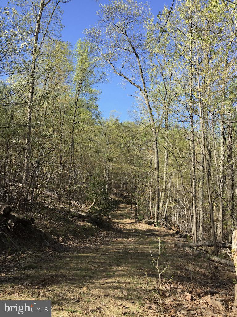 0 Beverleys Mill Road North Broad Run, VA 20137 - Photo 12 of 23 Gallery Image 12