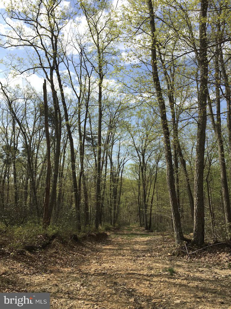 0 Beverleys Mill Road North Broad Run, VA 20137 - Photo 13 of 23 Gallery Image 13