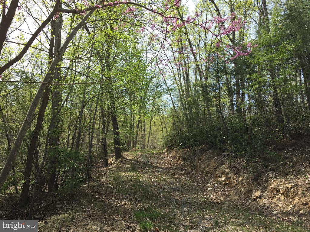 0 Beverleys Mill Road North Broad Run, VA 20137 - Photo 14 of 23 Gallery Image 14