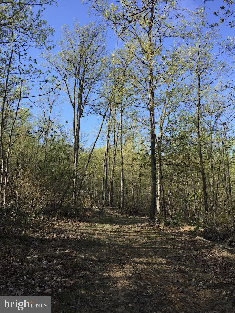 0 Beverleys Mill Road North Broad Run, VA 20137 - Photo 15 of 23 Gallery Image 15