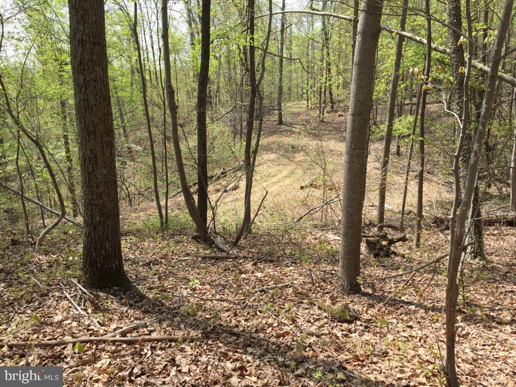 0 Beverleys Mill Road North Broad Run, VA 20137 - Photo 17 of 23 Gallery Image 17