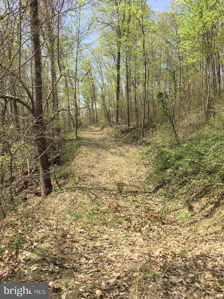 0 Beverleys Mill Road North Broad Run, VA 20137 - Photo 19 of 23 Gallery Image 19