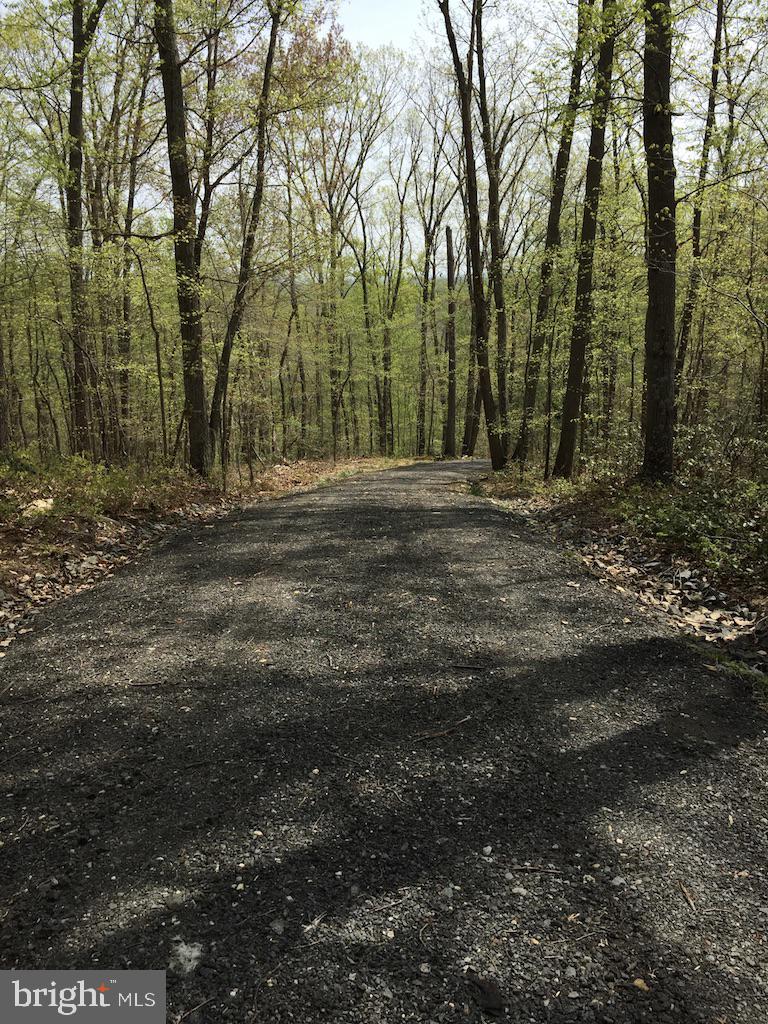 0 Beverleys Mill Road North Broad Run, VA 20137 - Photo 4 of 23 Gallery Image 4
