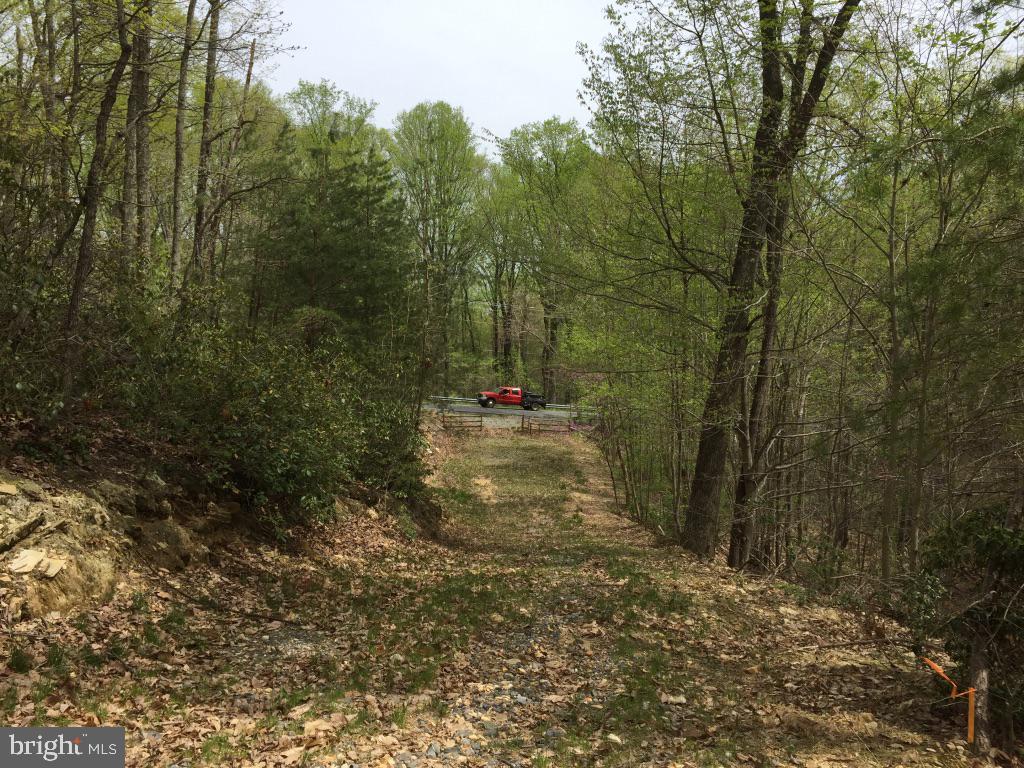 0 Beverleys Mill Road North Broad Run, VA 20137 - Photo 5 of 23 Gallery Image 5