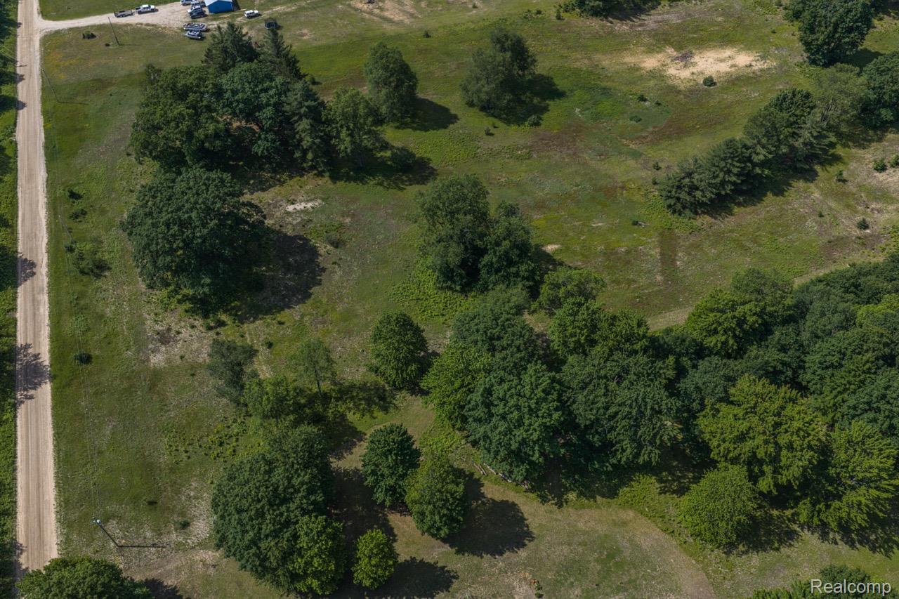 2418 South 41st Road South Cadillac, MI 49601 - Photo 27 of 57 Expansive land parcel featuring a dirt road, mature trees, and varied green foliage