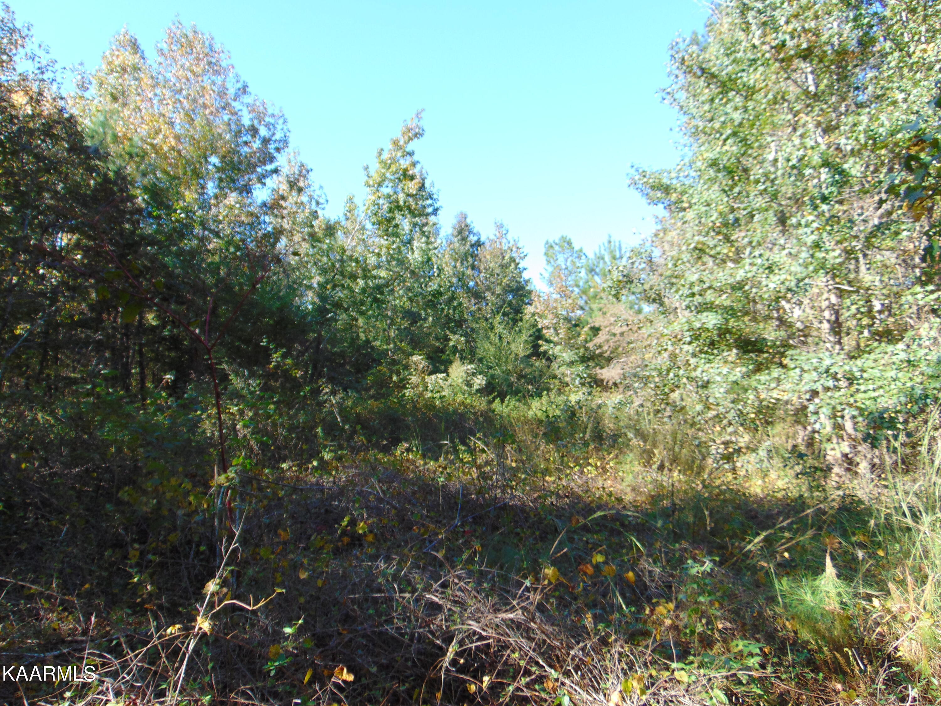 Tract 2-e-5 Tract 2-e-5 Charles Road Decatur, TN 37322 - Photo 2 of 17 DSC01628