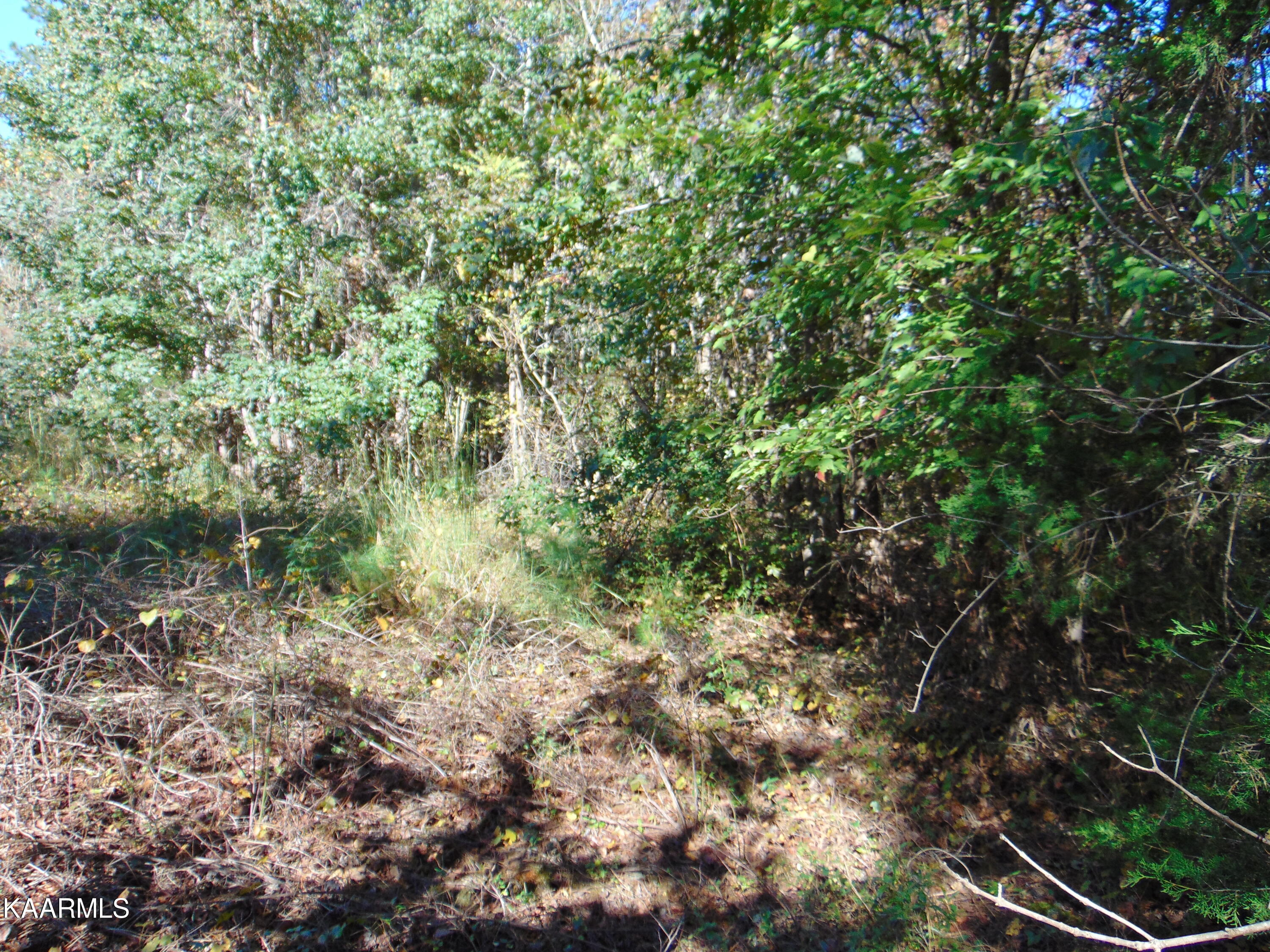 Tract 2-e-5 Tract 2-e-5 Charles Road Decatur, TN 37322 - Photo 3 of 17 DSC01627