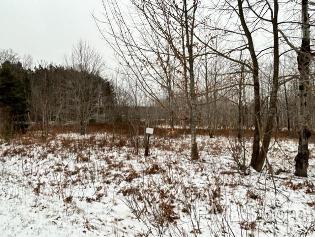 Tbd5 Larson Road Atlantic Mine, MI 49905 - Photo 42 of 56 Gallery Image 42
