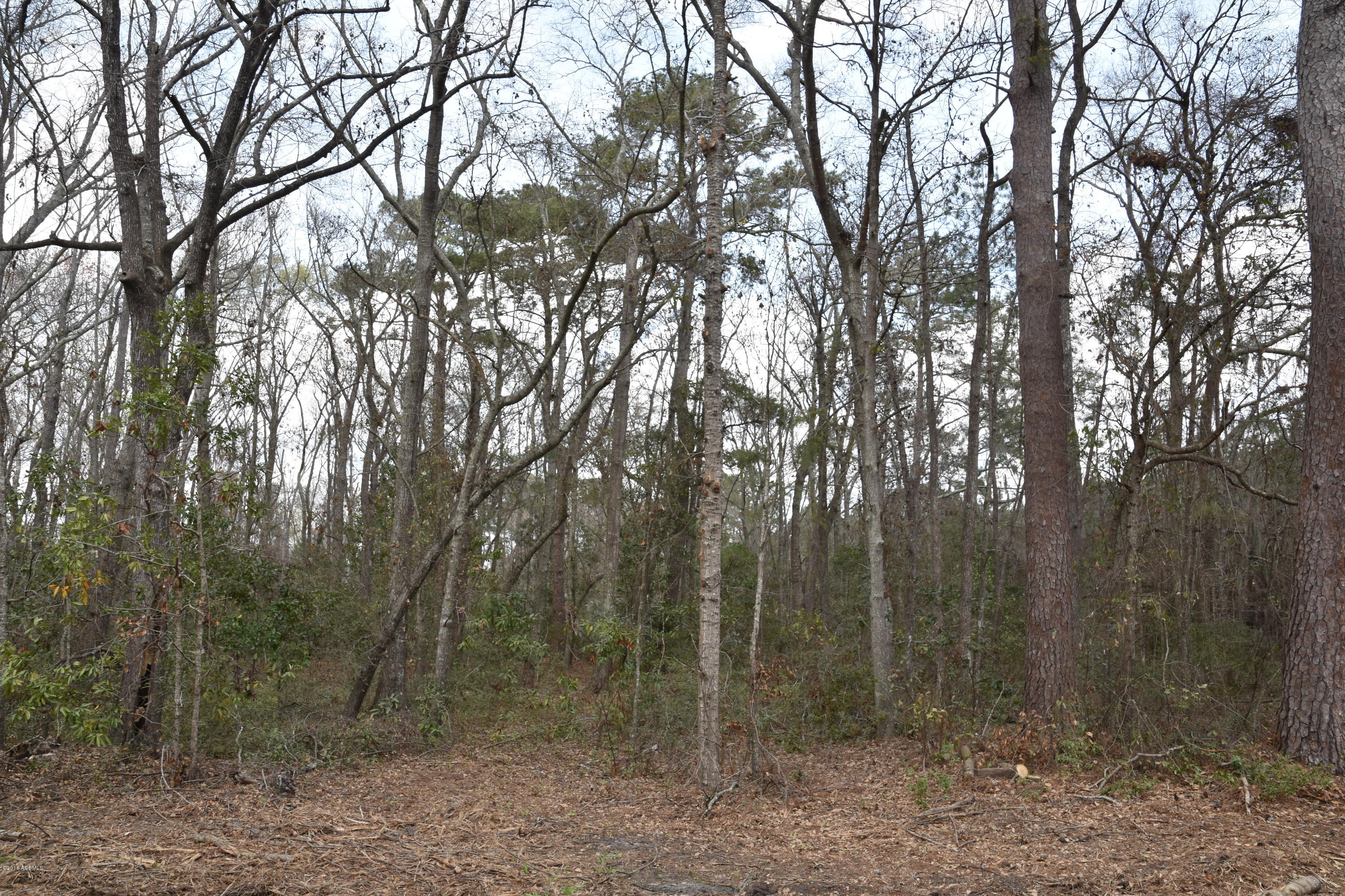 182 Clarendon Road Beaufort, SC 29906 - Photo 4 of 10 DSC_0468