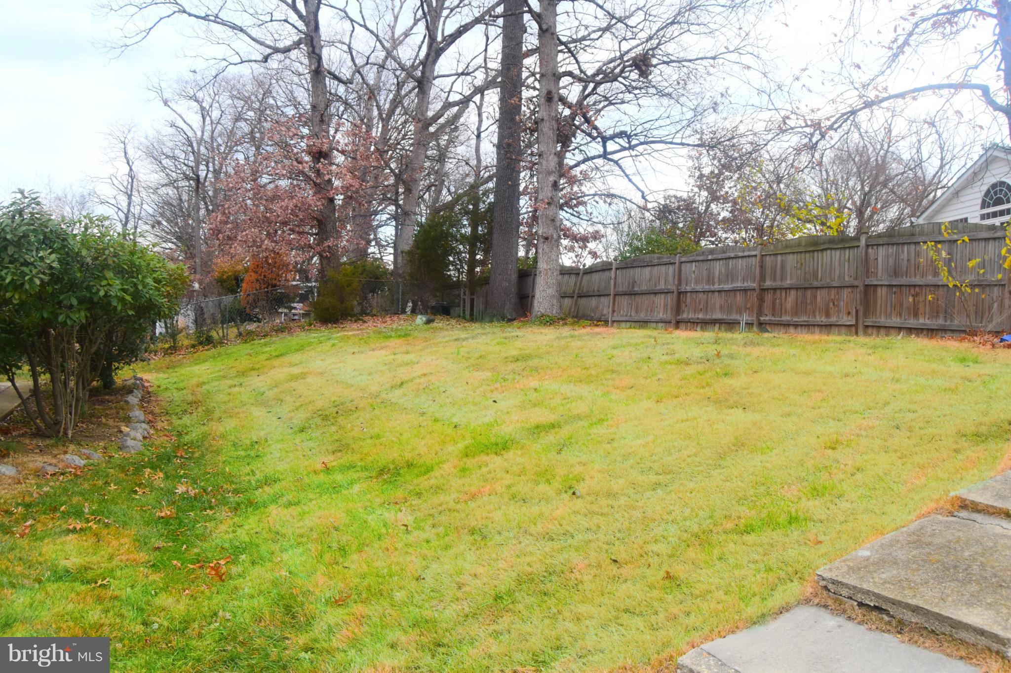 6107 Frontier Drive Springfield, VA 22150 - Photo 21 of 29 Lush zoysia grass becomes vibrant green in spring