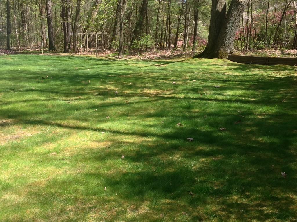 91 North Plain Road Sunderland, MA 01375 - Photo 37 of 40