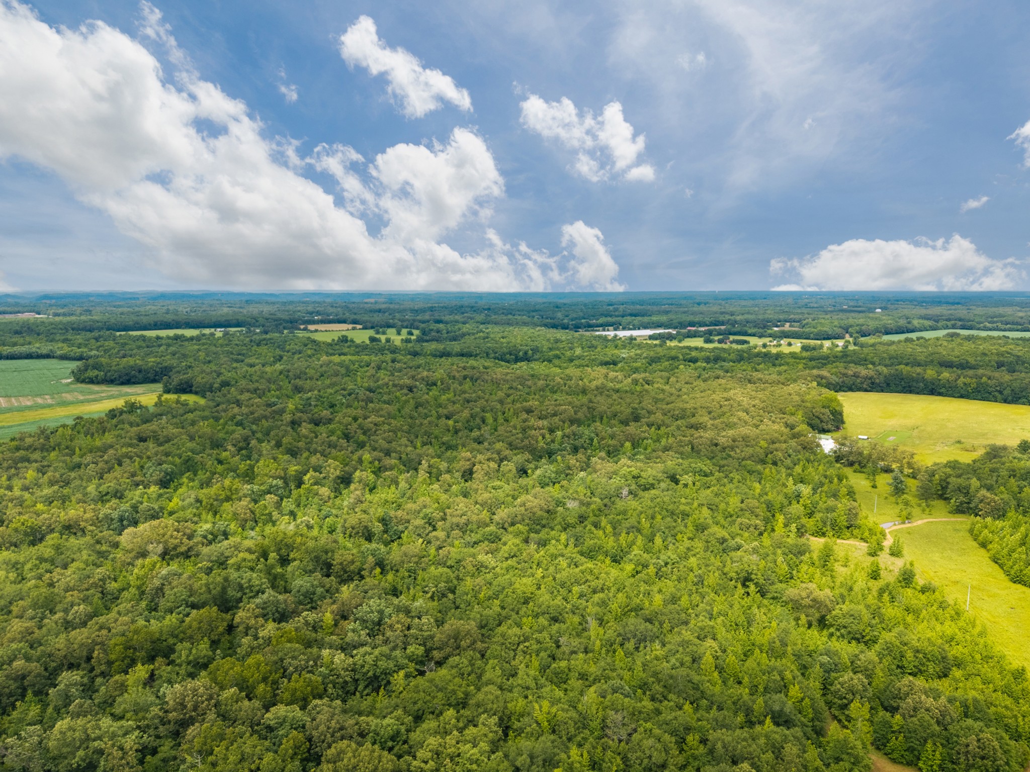0 Old Railroad Bed Road Taft, TN 38488 - Photo 8 of 9