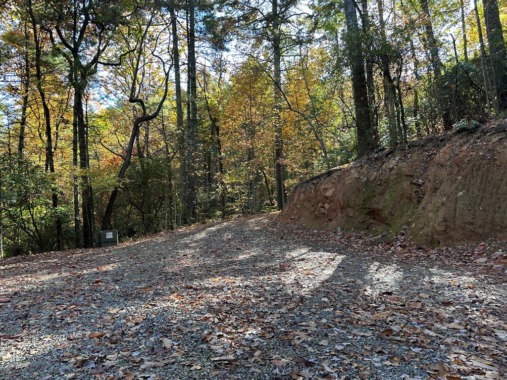 Tbd Atoah Loop Murphy, NC 28906 - Photo 11 of 32