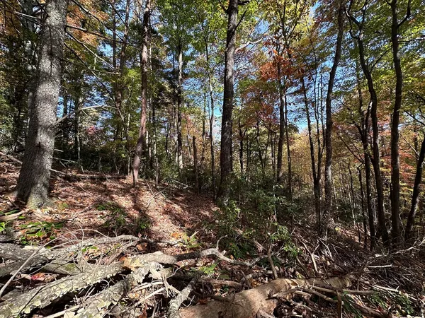 $84,900 | Tbd Atoah Loop, Murphy, NC 28906