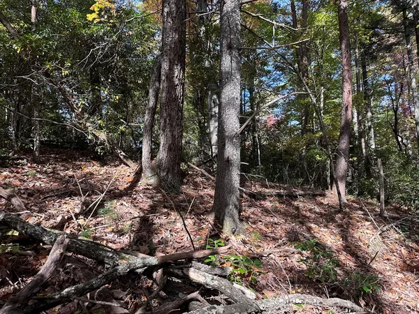 $84,900 | Tbd Atoah Loop, Murphy, NC 28906