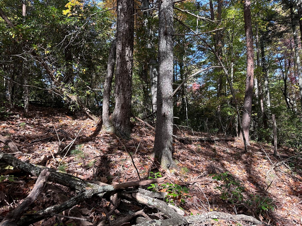 Tbd Atoah Loop Murphy, NC 28906 - Photo 14 of 32