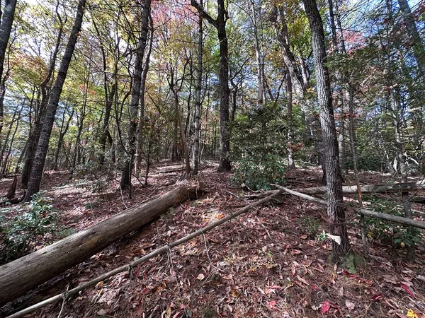 $84,900 | Tbd Atoah Loop, Murphy, NC 28906