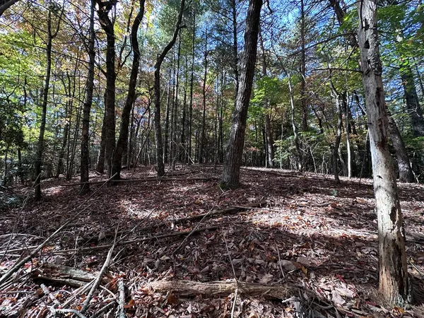 $84,900 | Tbd Atoah Loop, Murphy, NC 28906
