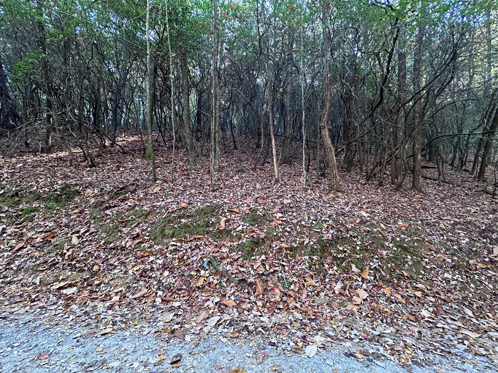 Tbd Atoah Loop Murphy, NC 28906 - Photo 18 of 32