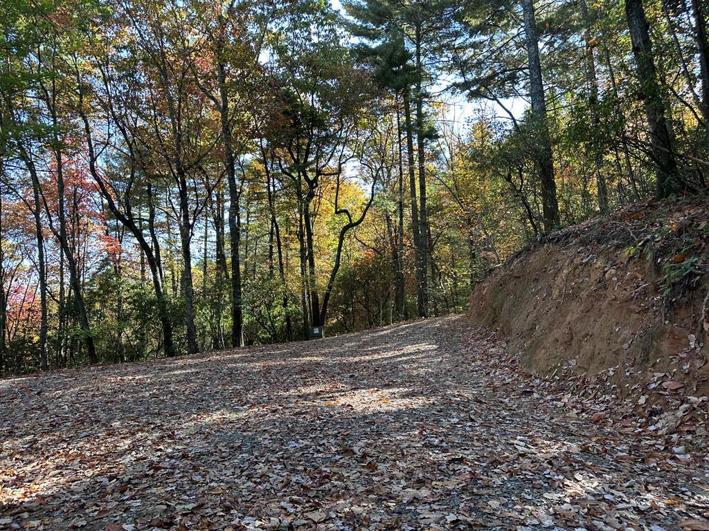 Tbd Atoah Loop Murphy, NC 28906 - Photo 2 of 32