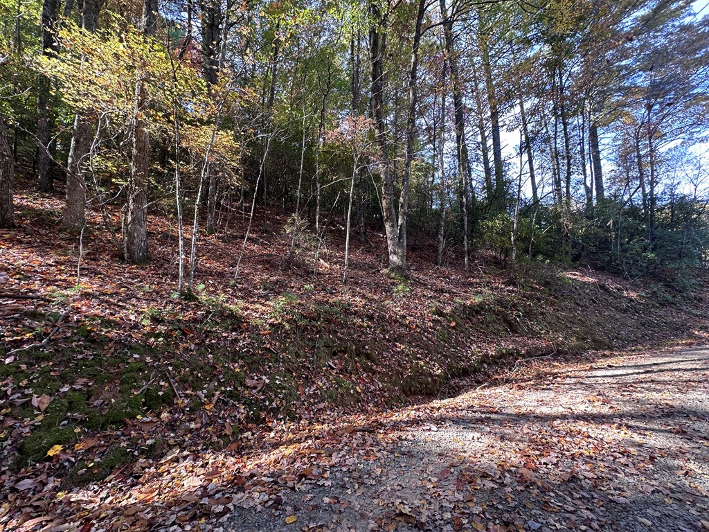 Tbd Atoah Loop Murphy, NC 28906 - Photo 22 of 32