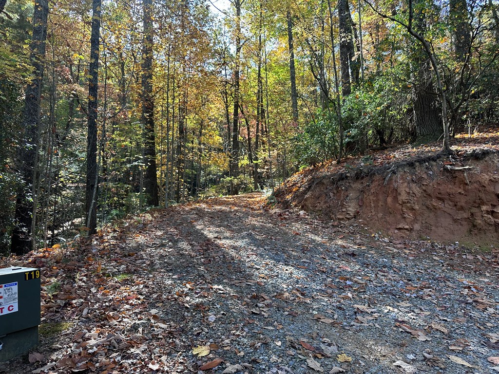 Tbd Atoah Loop Murphy, NC 28906 - Photo 23 of 32