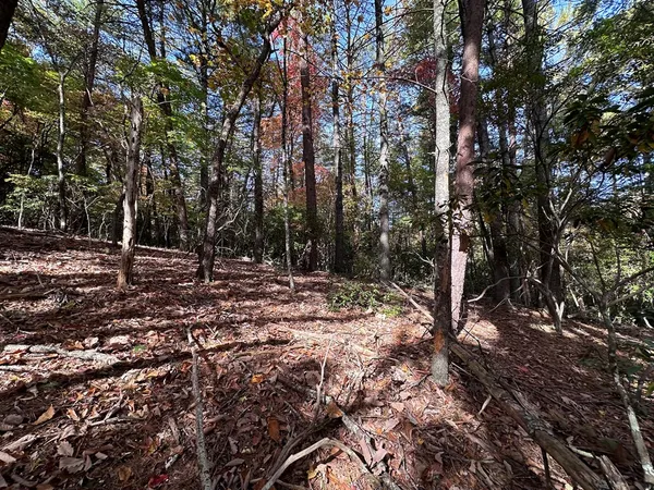 $84,900 | Tbd Atoah Loop, Murphy, NC 28906