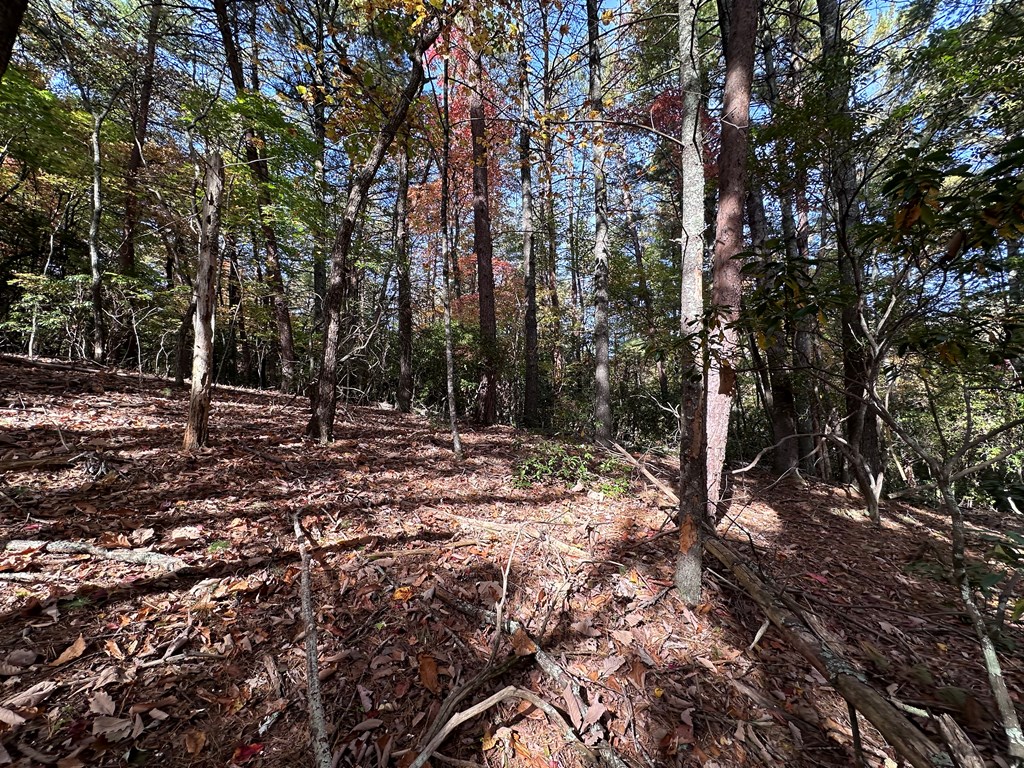 Tbd Atoah Loop Murphy, NC 28906 - Photo 24 of 32