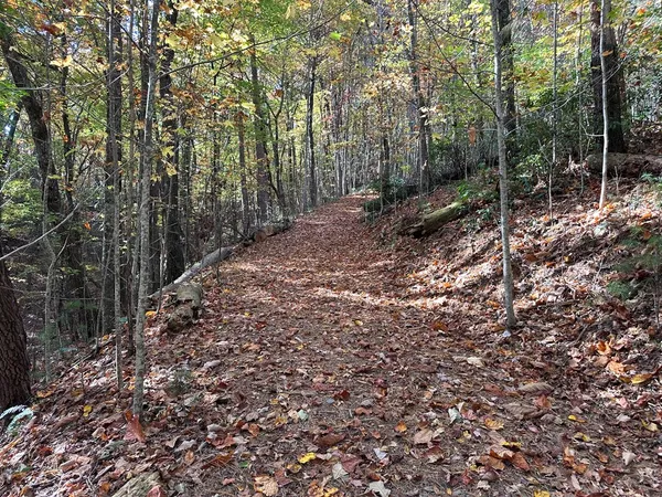 $84,900 | Tbd Atoah Loop, Murphy, NC 28906