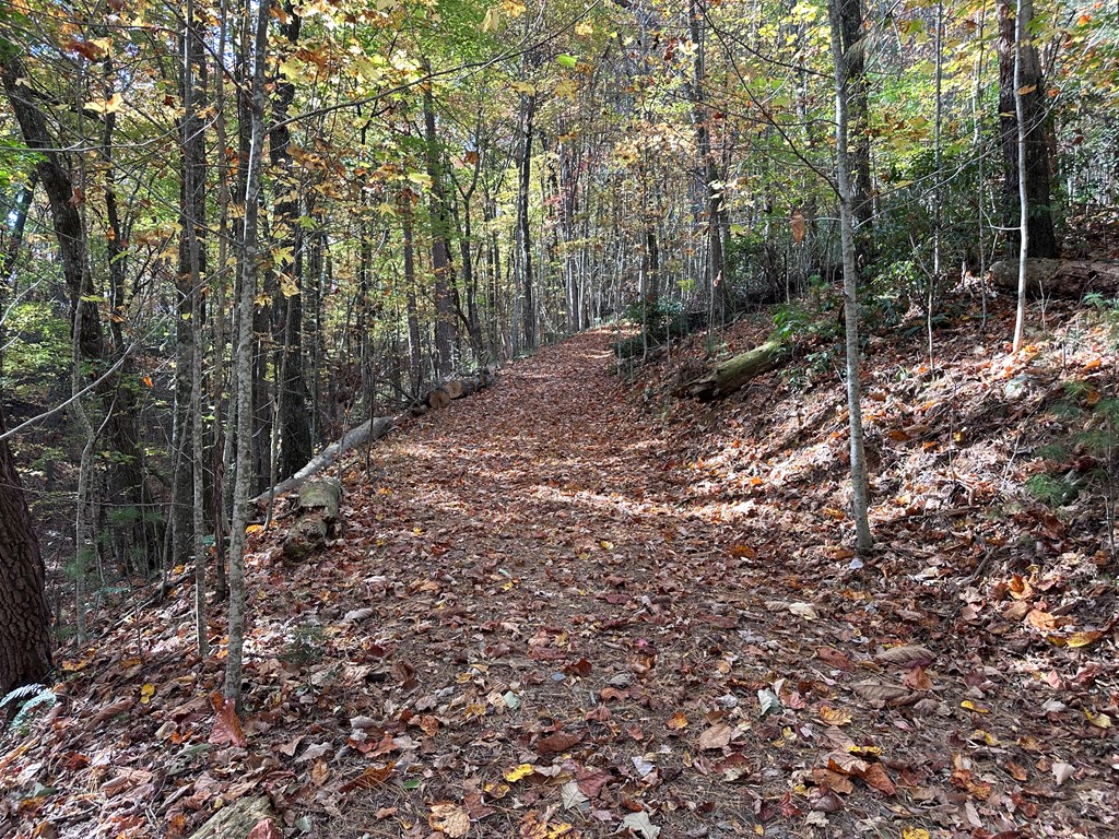 Tbd Atoah Loop Murphy, NC 28906 - Photo 26 of 32