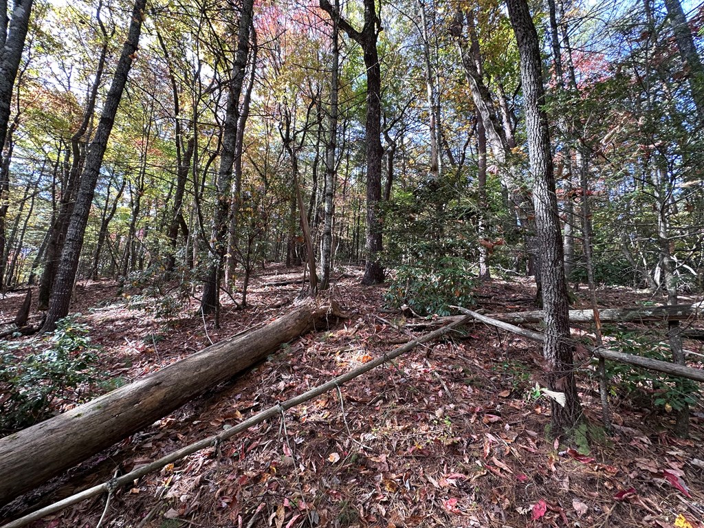 Tbd Atoah Loop Murphy, NC 28906 - Photo 27 of 32