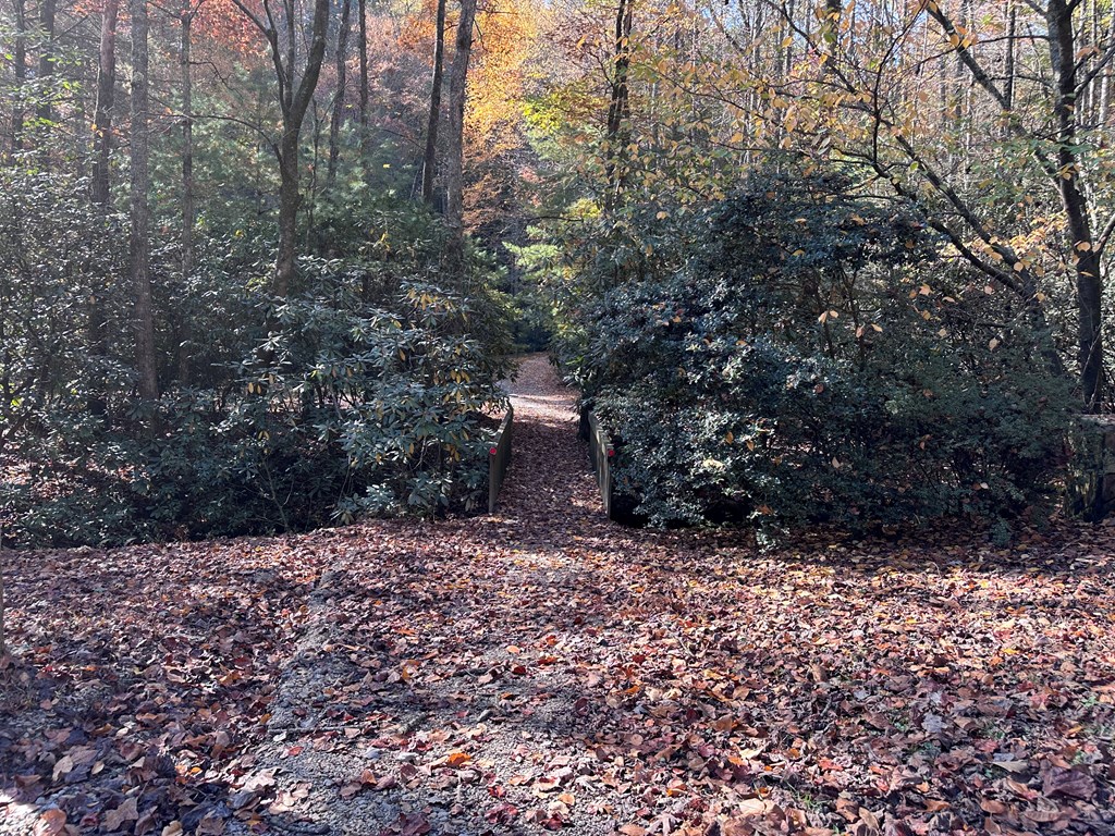 Tbd Atoah Loop Murphy, NC 28906 - Photo 28 of 32