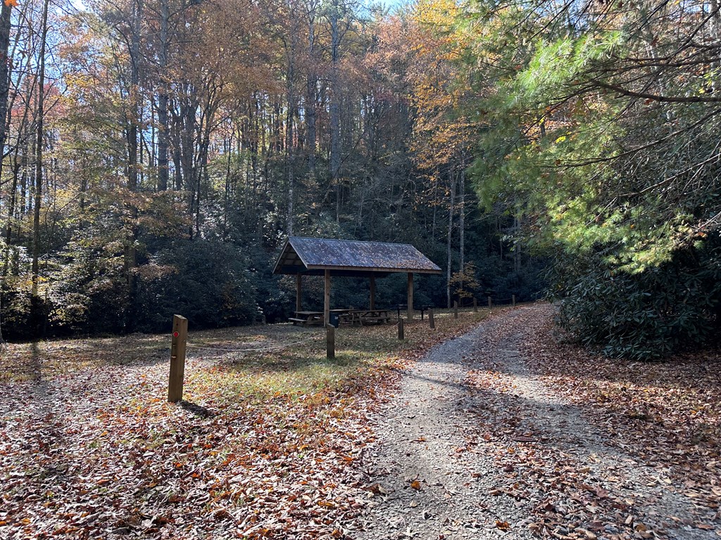 Tbd Atoah Loop Murphy, NC 28906 - Photo 29 of 32