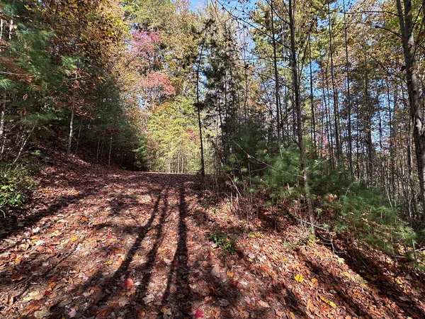 $84,900 | Tbd Atoah Loop, Murphy, NC 28906