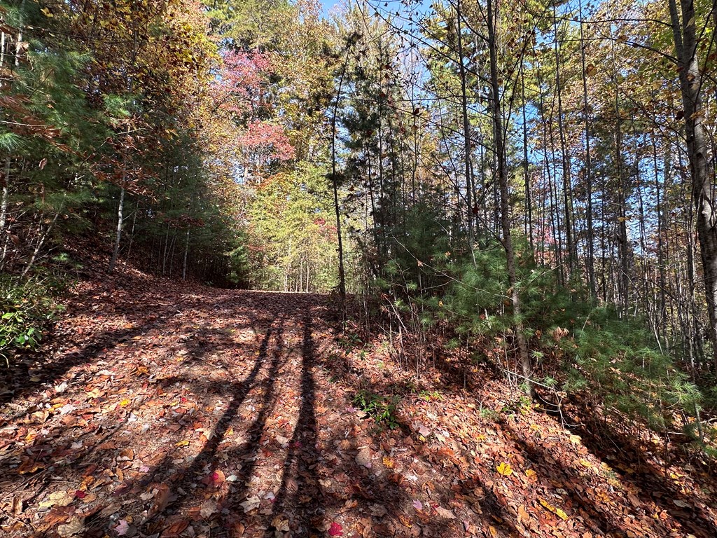 Tbd Atoah Loop Murphy, NC 28906 - Photo 8 of 32