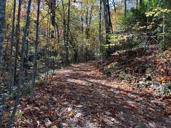 $84,900 | Tbd Atoah Loop, Murphy, NC 28906