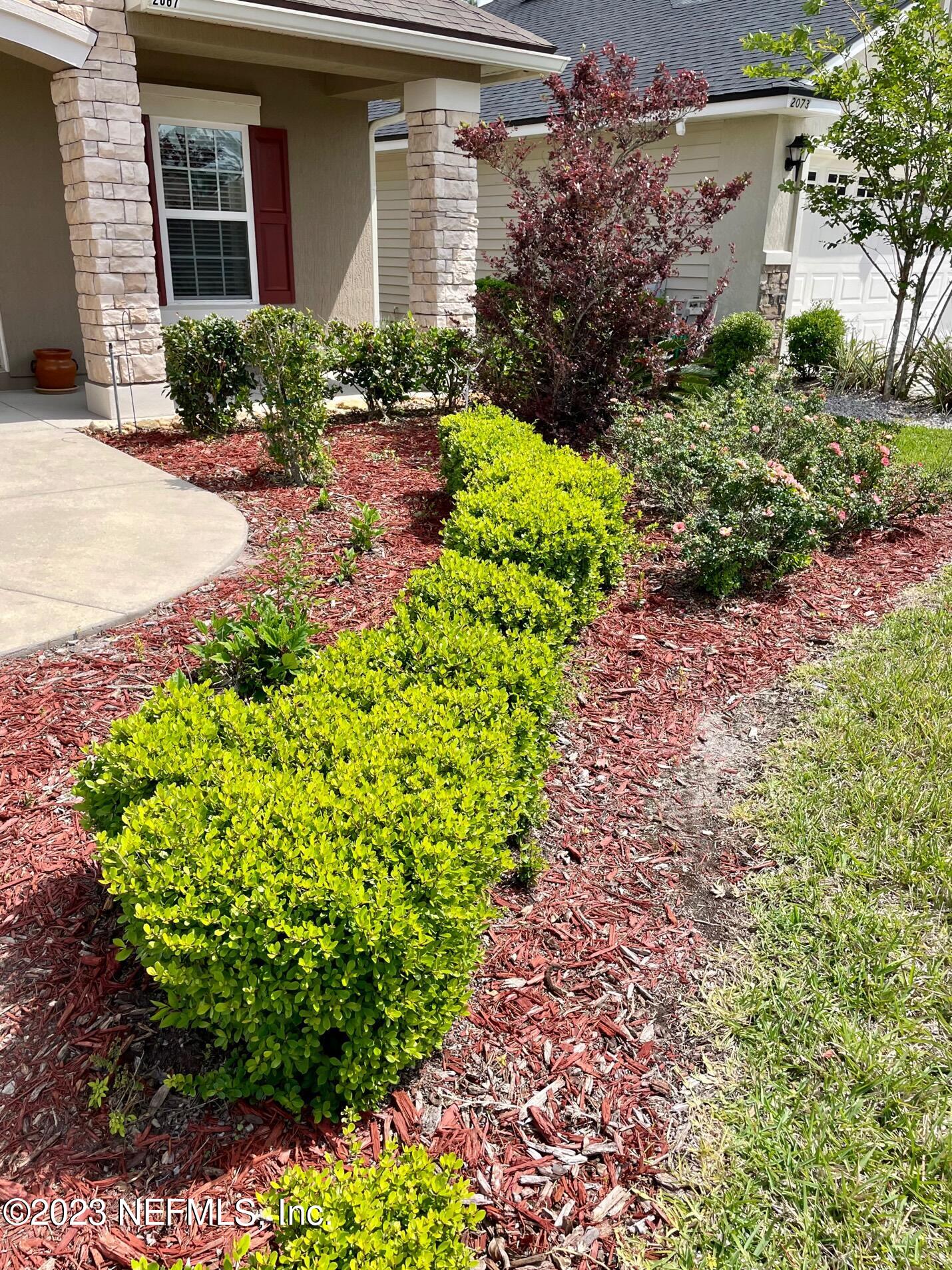 2067 Patriot Ridge Road Jacksonville, FL 32221 - Photo 6 of 27 IMG_1672