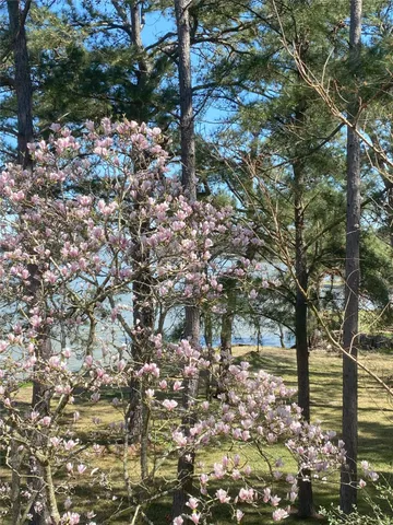 $1,495,000 | 425 Old Fm 224, Coldspring, TX 77331