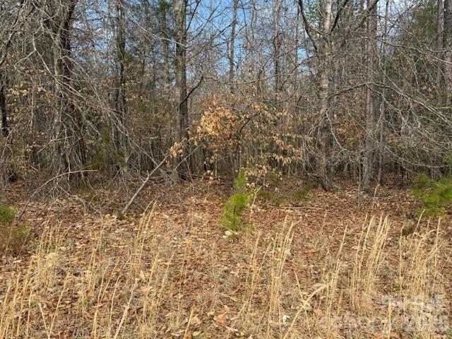 2837 Blacksburg Road Earl, NC 28073 - Photo 12 of 29