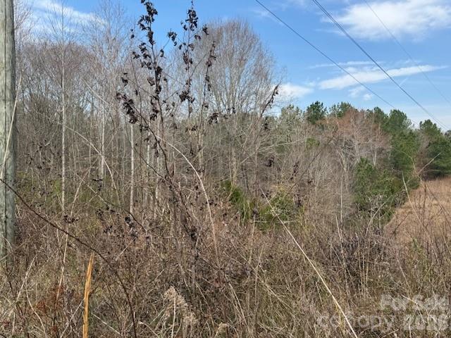 2837 Blacksburg Road Earl, NC 28073 - Photo 17 of 29