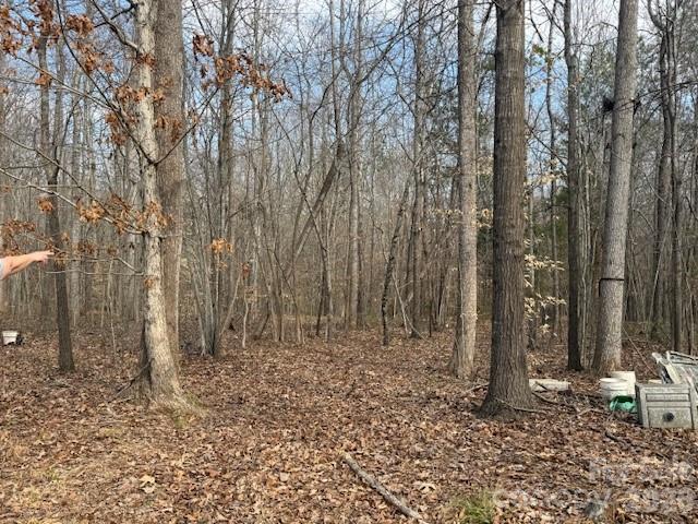 2837 Blacksburg Road Earl, NC 28073 - Photo 20 of 29