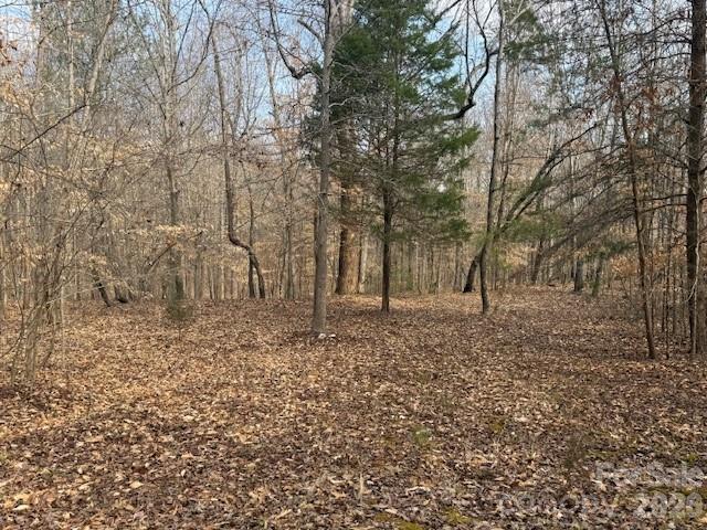 2837 Blacksburg Road Earl, NC 28073 - Photo 22 of 29