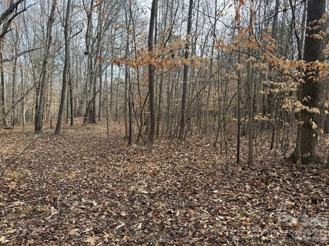 2837 Blacksburg Road Earl, NC 28073 - Photo 23 of 29