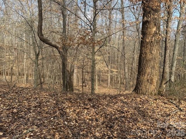 2837 Blacksburg Road Earl, NC 28073 - Photo 24 of 29